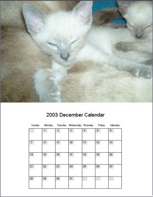 Calendars Software Icon