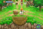 Harvest Moon 3D : The Tale of Two Towns