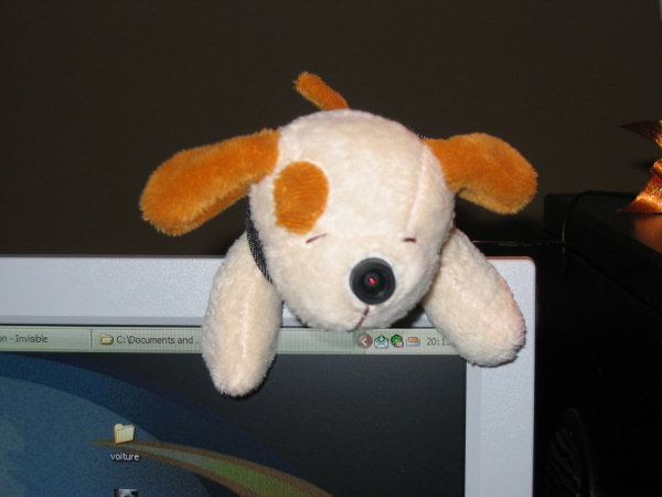 images/articles/article210/004.jpg images/articles/article210/004.jpg