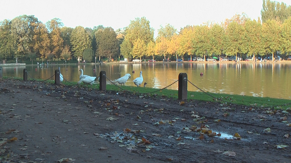 images/articles/article2664/vid01.jpg images/articles/article2664/vid01.jpg