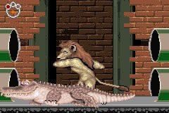 images/articles/article704/001.jpg images/articles/article704/001.jpg