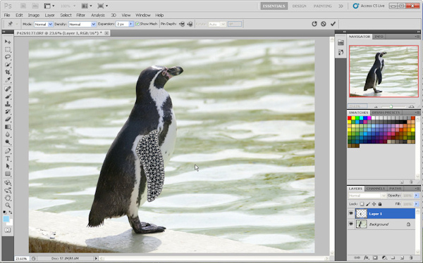 images/articles/article8243/cs5_puppet_warp.jpg images/articles/article8243/cs5_puppet_warp.jpg