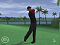 Tiger Woods PGA Tour 2006