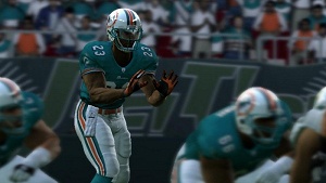 images/articles/article6459/001.jpg images/articles/article6459/001.jpg