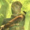 The Legend of Zelda : Twilight Princess The Legend of Zelda : Twilight Princess