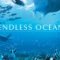 Endless Ocean