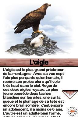 images/articles/article3780/001.jpg images/articles/article3780/001.jpg