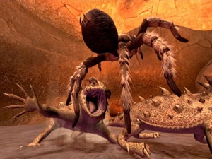 images/articles/article5180/002.jpg images/articles/article5180/002.jpg