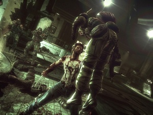 images/articles/article5621/002.jpg images/articles/article5621/002.jpg