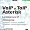 VoIP et ToIP Asterisk, La téléphone IP d'entreprise