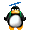 :pingouin02:
