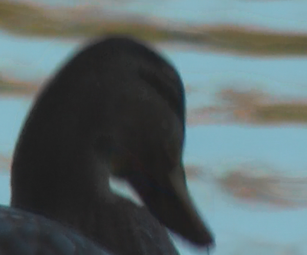 images/articles/article2664/vid08-02.jpg images/articles/article2664/vid08-02.jpg