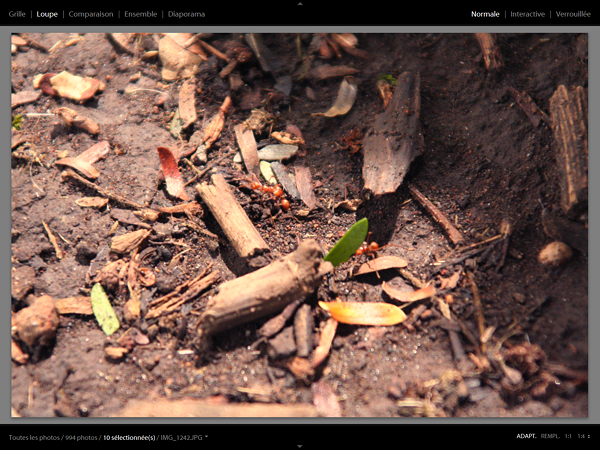 images/articles/article5395/005.png images/articles/article5395/005.png