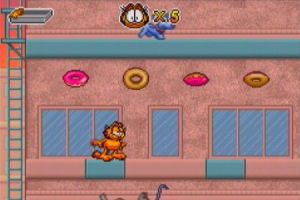 images/articles/article881/001.jpg images/articles/article881/001.jpg