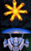Meteor VGA Icon